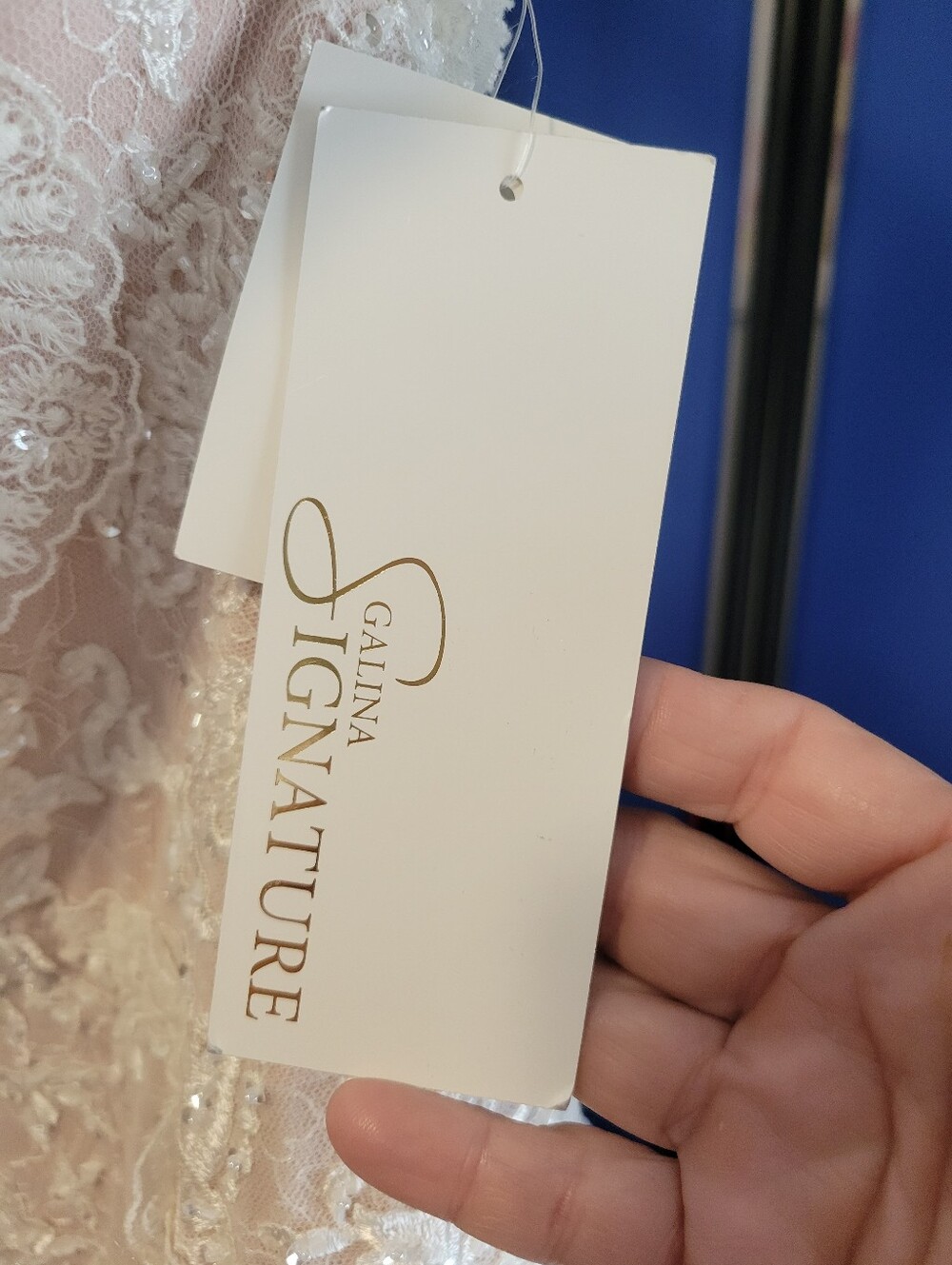 Elegant Lace Mermaid Evening Dress in Champagne - Picture 3 of 13